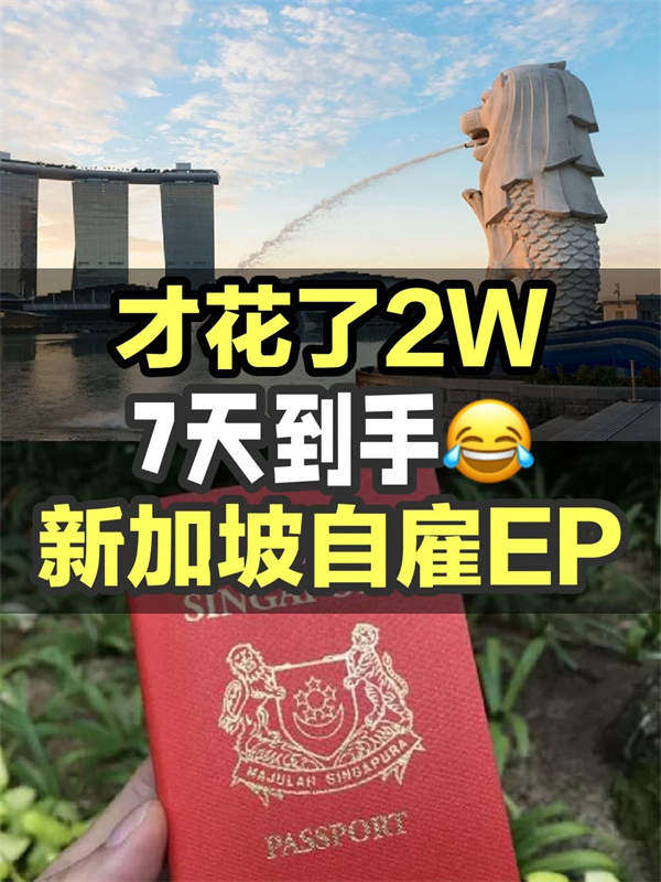 新加坡移民正在紅利期7天就拿身份！